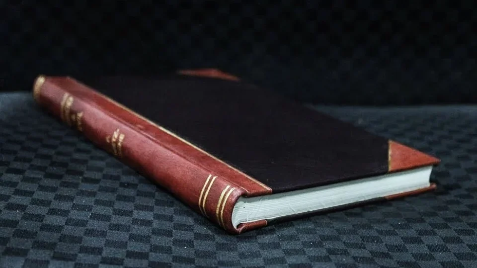 Best-Selling Insect behavior, by Paul Griswold Howes, with illustrations from photographs by the author (1919) [Leatherbound]
