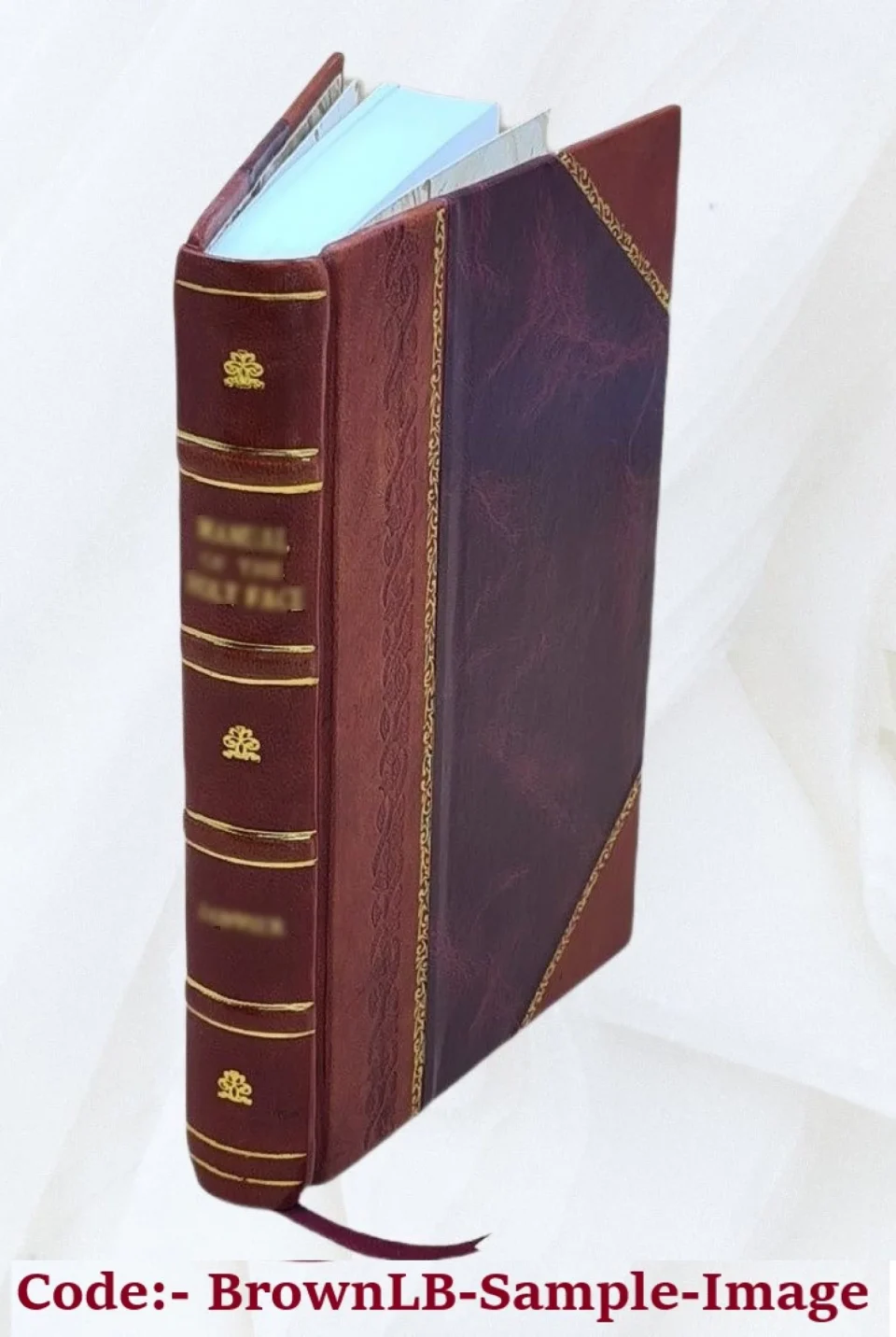 Stainless Steel Frosted Alexander Viets Griswold Allen, 1841-1908, by Charles Lewis Slattery. 1911 [Leather Bound]